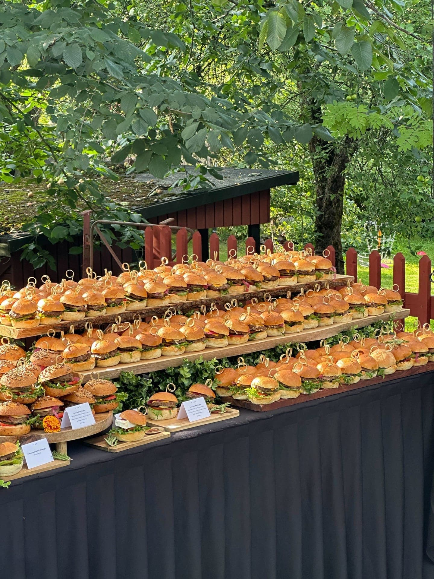 Suomen Startup-Yhteisö's Garden Party